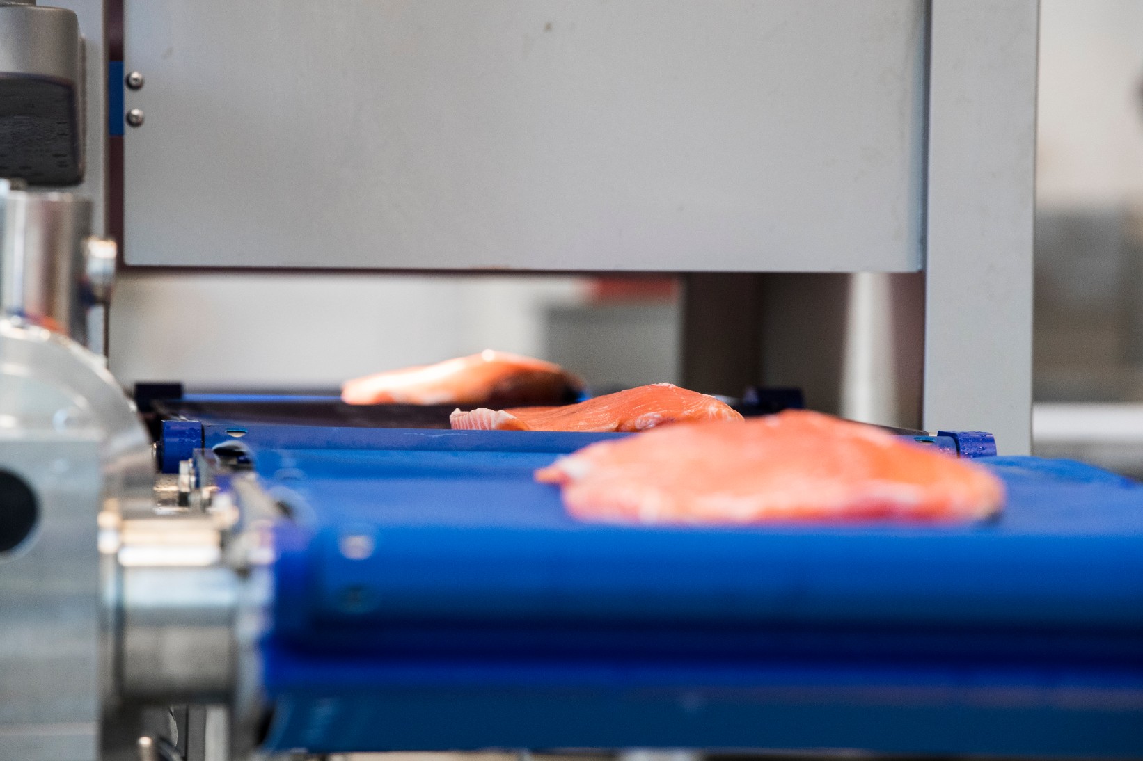 Auto-infeed & QC scanner